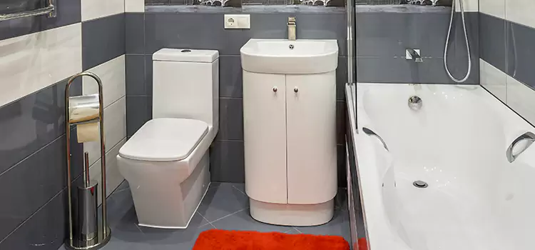 Hansgrohe Shaving Mirror Lewiston